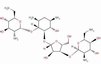 新霉素?zé)晒鈾z測(cè)試紙條
