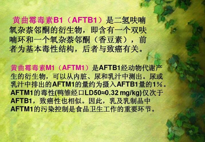  四、黃曲霉毒素的性質