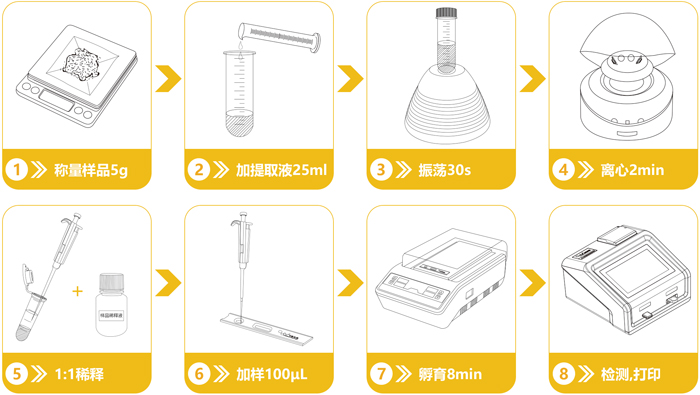 轉基因檢測流程 轉基因檢測流程
