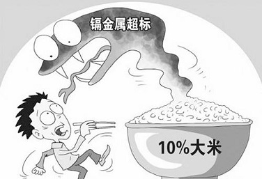 糧食重金屬超標 糧食重金屬超標